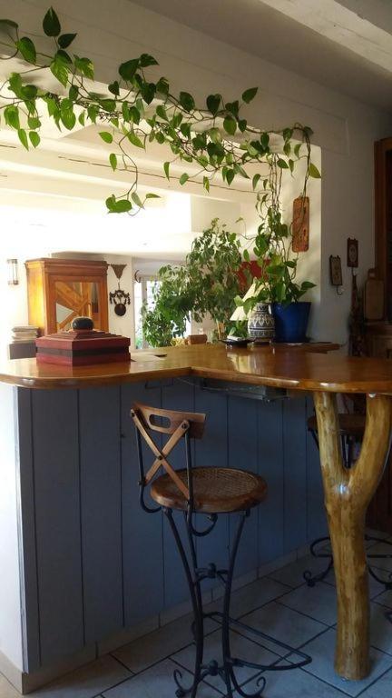 Casa Flo Villa Polignac  Eksteriør bilde